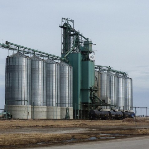 Minoteries et terminaux céréaliers